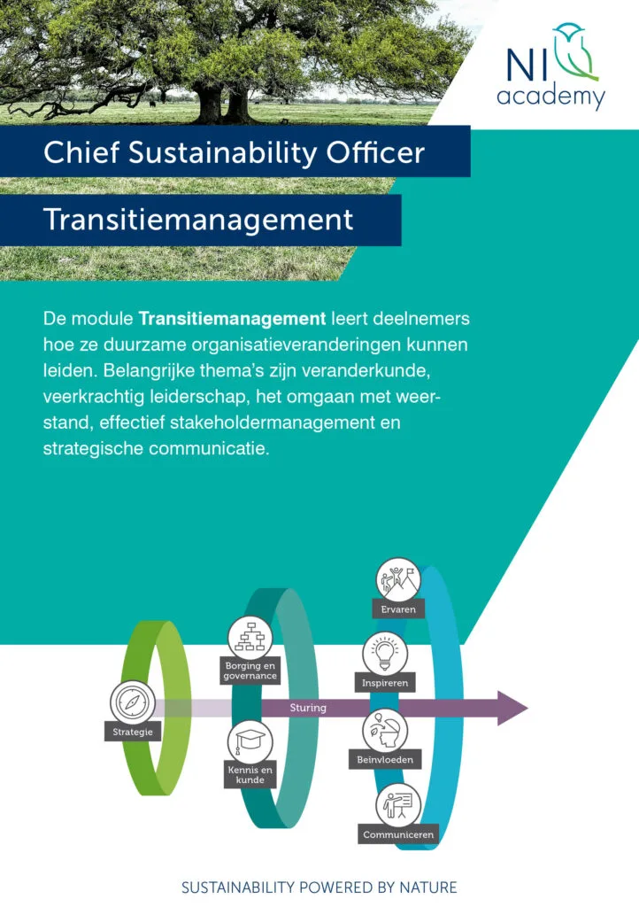 CSO Executive: Transition Management