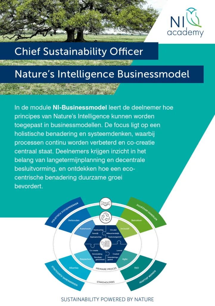 CSO Executive: NI Business Model