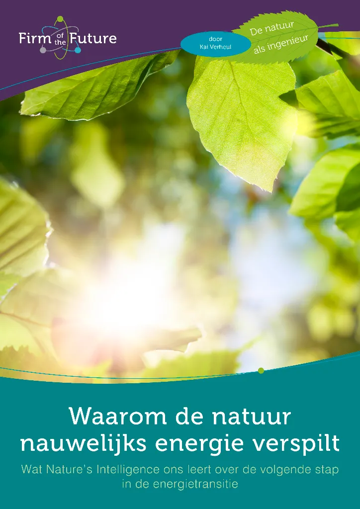 Waarom de natuur nauwelijks energie verspilt
