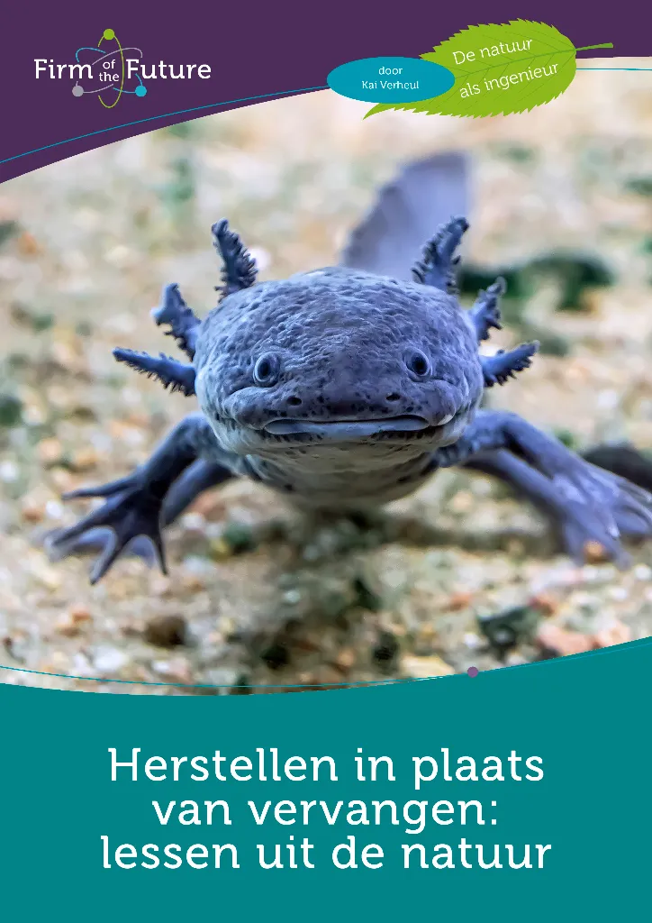 Herstellen in plaats van vervangen: lessen uit de natuur