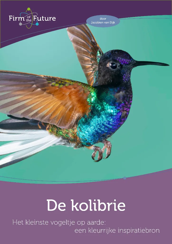 Wat we leren van de kolibrie