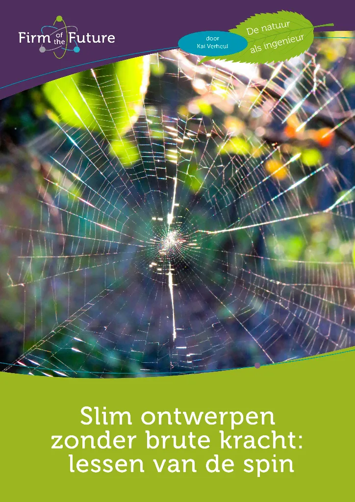 Slim ontwerpen zonder brute kracht: lessen van de spin
