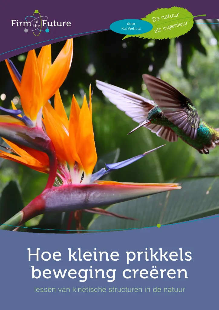 Hoe kleine prikkels beweging creëren