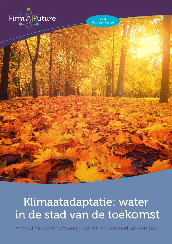 Watersystemen in de stad