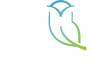 NI-academy