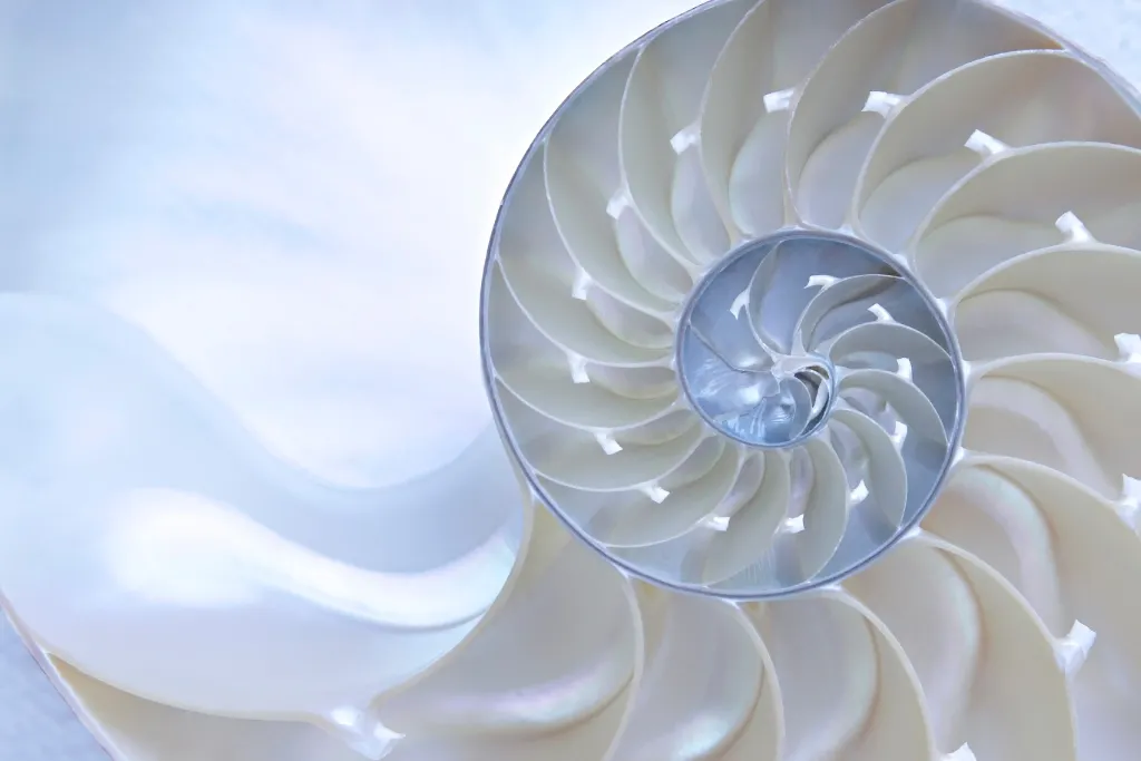 NI-academy incompanyopleidingen circulaire economie en biomimicry