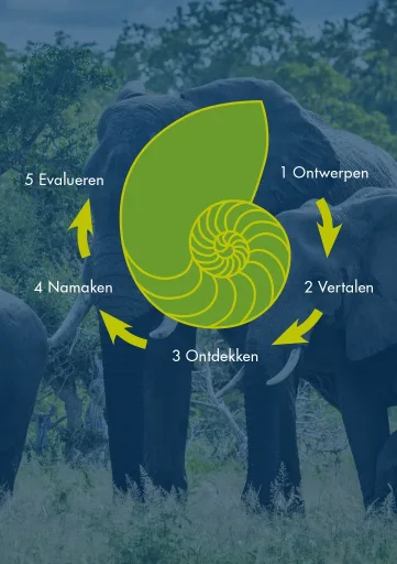 Module Circulair Design & Biomimicry: de vier stappen van ontwerpen tot evalueren